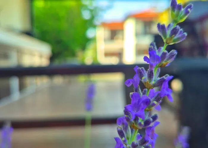 Geovilla & Blue 1 - Villa