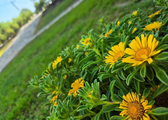 Villa Geovilla & Blue 1 - *